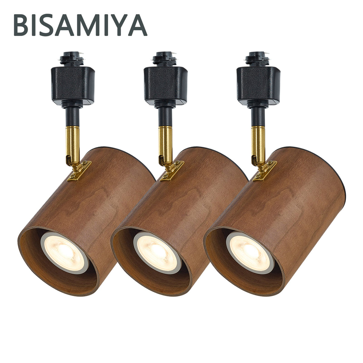 Track Light Fixture