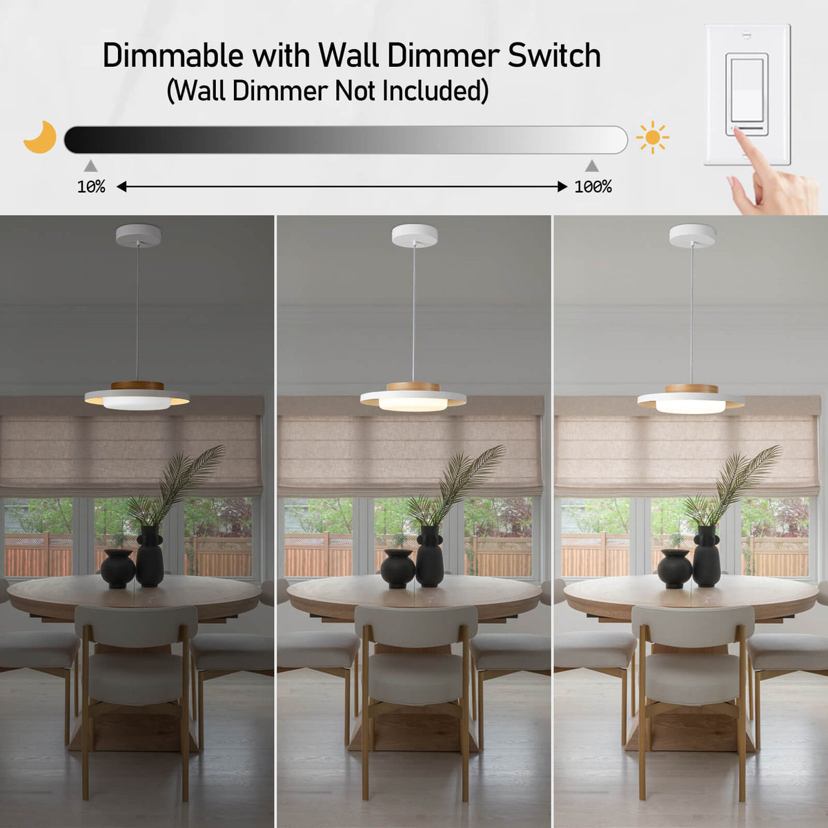 Modern Pendant Lights