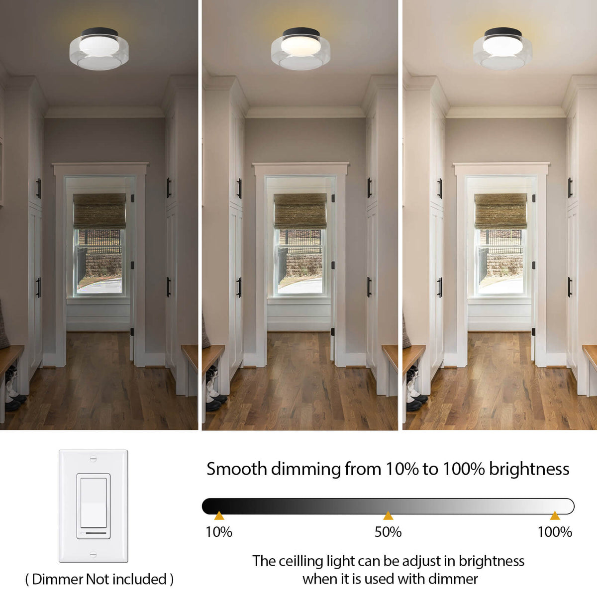 Dimmable Ceiling Light Fixture
